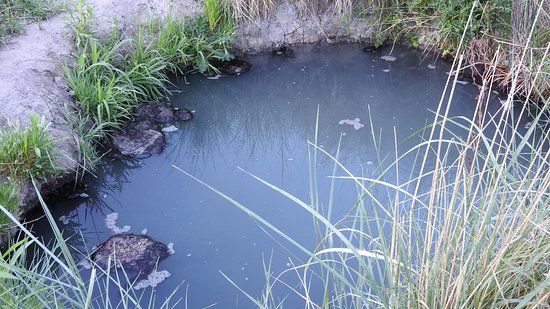 Hippy Hot Springs